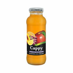 Cappy Karışık Depozitosuz Şişe 250 ml 12'li - Cappy