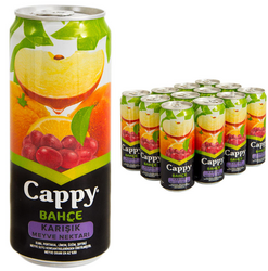 Cappy Meyve Suyu Karışık 250 ml 12'li - Cappy