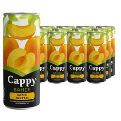 Cappy Meyve Suyu Kayısı Aromalı 250 ml 12'li - Cappy