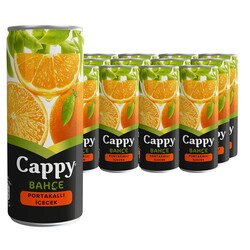 Cappy Meyve Suyu Portakal Aromalı 250 ml 12'li - Cappy