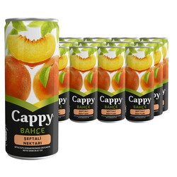 Cappy Meyve Suyu Şeftali Aromalı 250 ml 12'li - Cappy