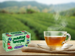 Doğadan Yeşil Çay Nar-Yaban Mersini Coe 20`li - 3