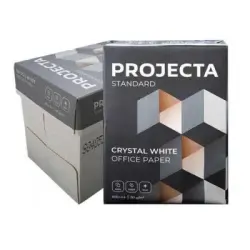 Projecta Standart Fotokopi Kağıdı A4 - 80G - 1 Koli - 5 Paket - 2.500 Sayfa - Projekta