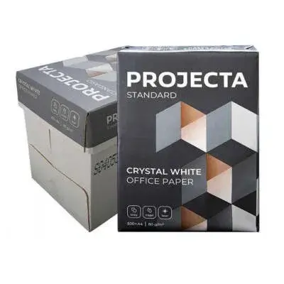 Projecta Standart Fotokopi Kağıdı A4 - 80G - 1 Koli - 5 Paket - 2.500 Sayfa - 1